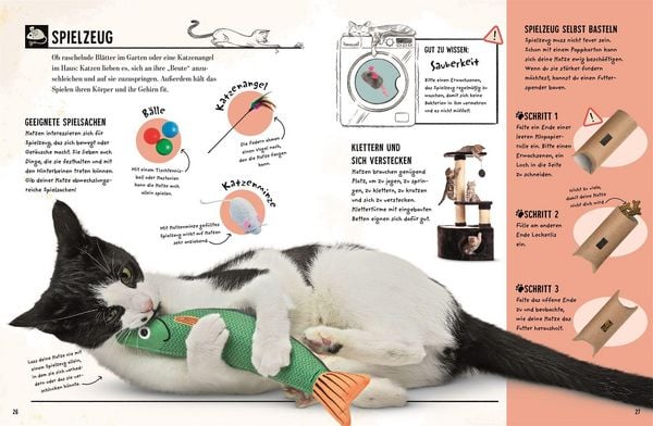 Produktbild: Meine Katze