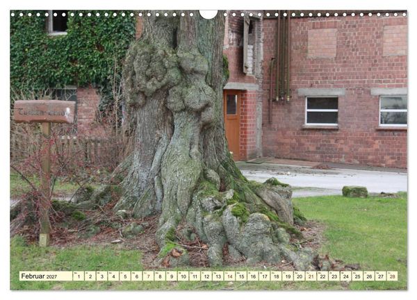 Produktbild: Zauberhaftes, die Natur als K&uuml;nstler (Wandkalender 2027 DIN A3 quer), CALVENDO Monatskalender