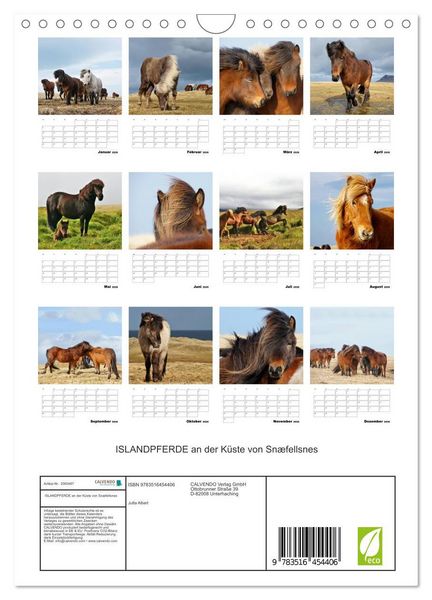 Produktbild: ISLANDPFERDE an der K&uuml;ste von Sn&aelig;fellsnes (Wandkalender 2026 DIN A4 hoch), CALVENDO Monatskalender