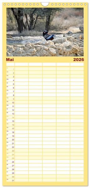 Produktbild: Familienplaner 2026 - Kgalagadi - Fauna und Wildtiere in der Kalahari mit 5 Spalten (Wandkalender, 21 x 45 cm) CALVENDO
