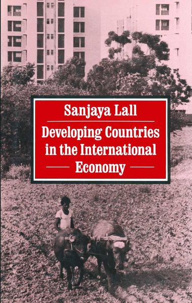 Produktbild: Developing Countries in the International Economy