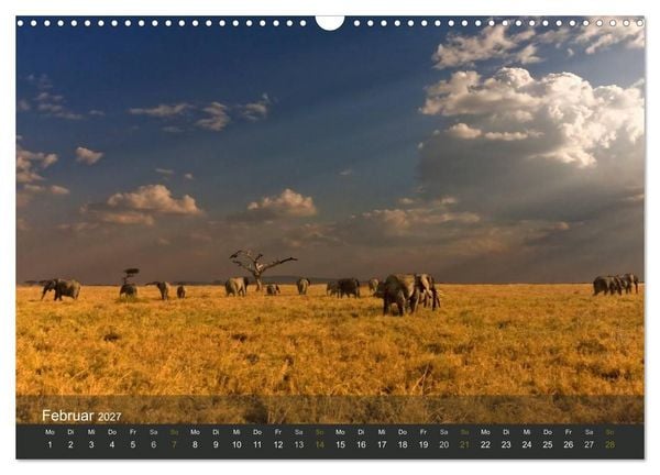 Produktbild: Elefanten (Wandkalender 2027 DIN A3 quer), CALVENDO Monatskalender