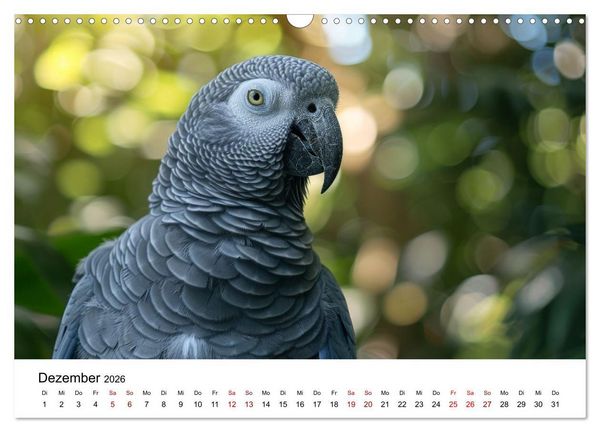 Produktbild: Papageien - Farbenfrohe Paradiesv&ouml;gel (Wandkalender 2026 DIN A3 quer), CALVENDO Monatskalender