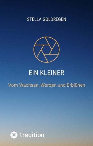 Produktbild: Ein kleiner Lichtfunke auf Erden