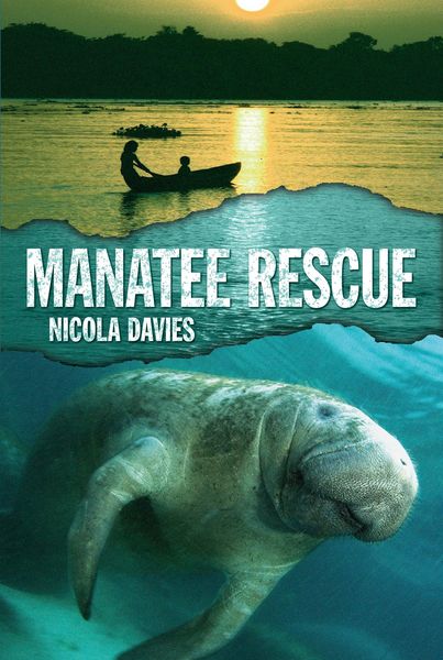 Produktbild: Manatee Rescue