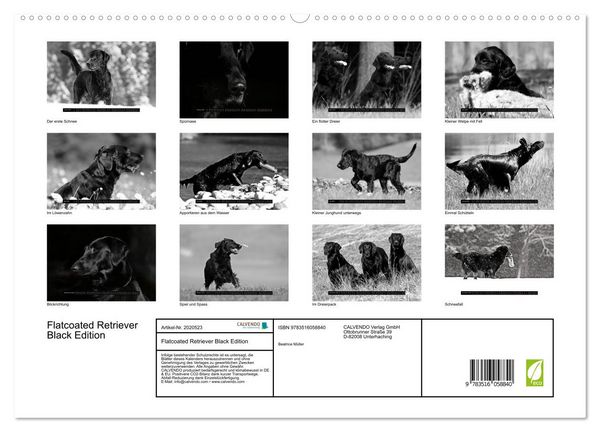 Produktbild: Flatcoated Retriever Black Edition (hochwertiger Premium Wandkalender 2026 DIN A2 quer), Kunstdruck in Hochglanz