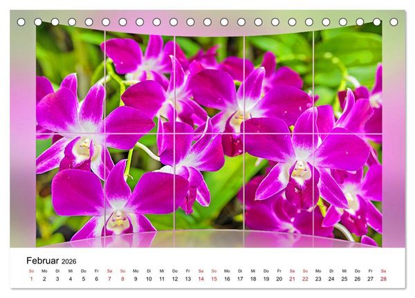 Produktbild: Orchideen Bildergalerie (Tischkalender 2026 DIN A5 quer), CALVENDO Monatskalender
