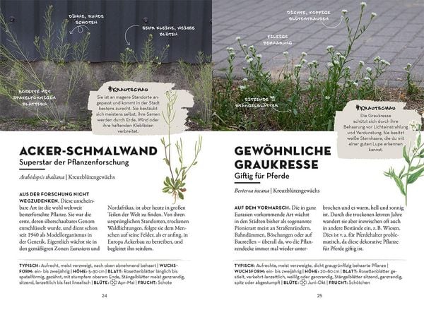 Produktbild: Das w&auml;chst in deiner Stadt