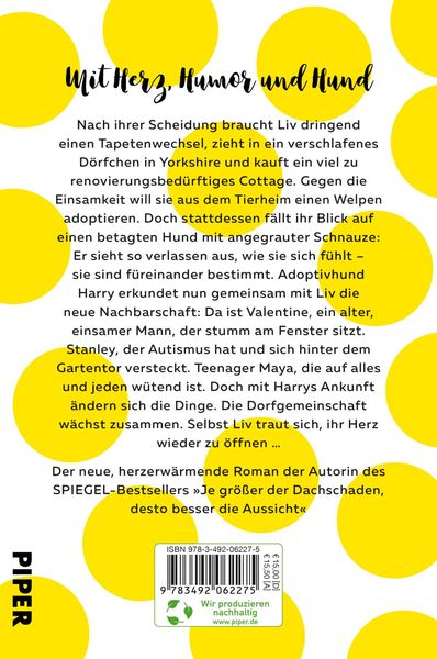 Produktbild: Lieber mit dem Kopf durch die Wand als gar kein Durchblick