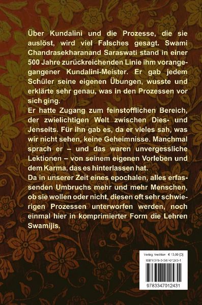 Produktbild: Kundalini und die Lehren eines Meisters