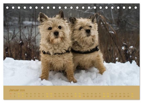 Produktbild: Cairns Forever (Tischkalender 2026 DIN A5 quer), CALVENDO Monatskalender