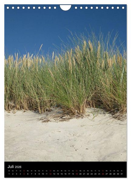 Produktbild: Ostseeblicke (Wandkalender 2026 DIN A4 hoch), CALVENDO Monatskalender