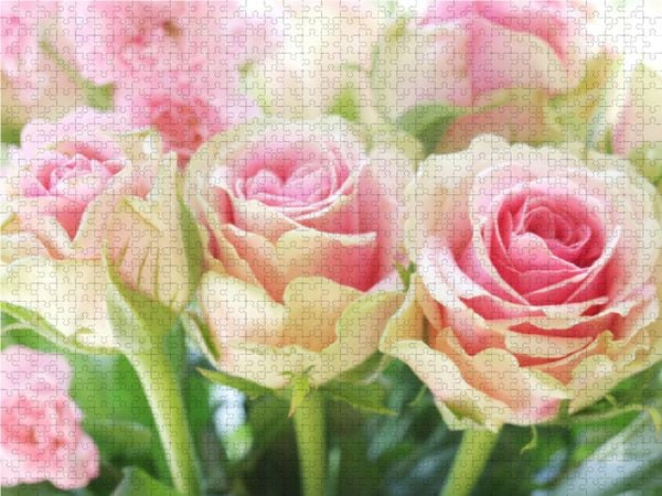 Produktbild: CALVENDO Puzzle Rosa Rosen 1000 Teile Lege-Gr&ouml;&szlig;e 64 x 48 cm Foto-Puzzle Bild von Gisela Kruse