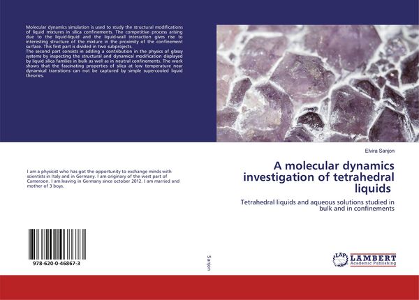Produktbild: A molecular dynamics investigation of tetrahedral liquids