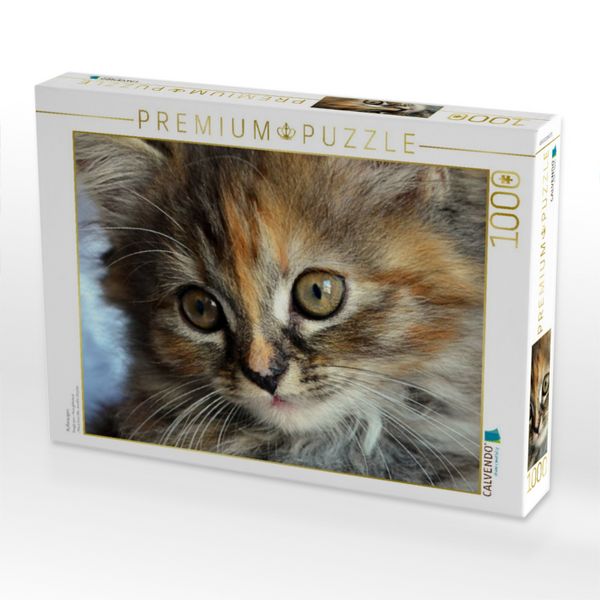 Produktbild: CALVENDO Puzzle Kulleraugen | 1000 Teile Lege-Gr&ouml;&szlig;e 64x48cm Foto-Puzzle f&uuml;r gl&uuml;ckliche Stunden