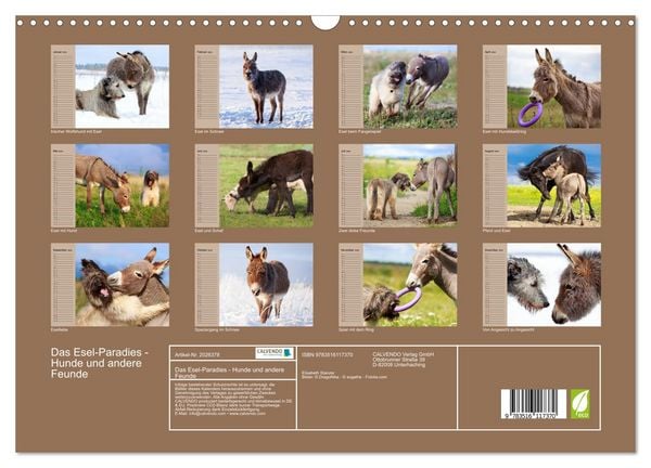 Produktbild: Das Esel-Paradies - Hunde und andere Feunde (Wandkalender 2026 DIN A3 quer), CALVENDO Monatskalender