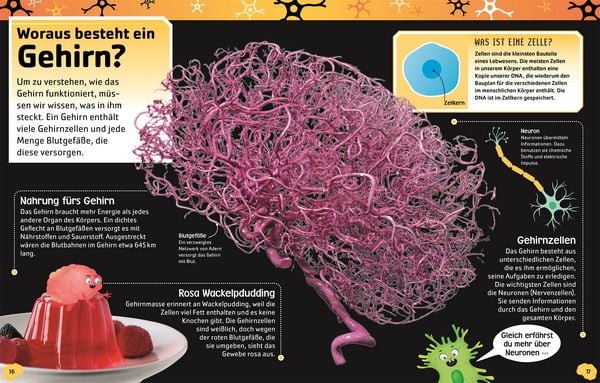 Produktbild: Superstark & superschlau. Superschlaues Gehirn