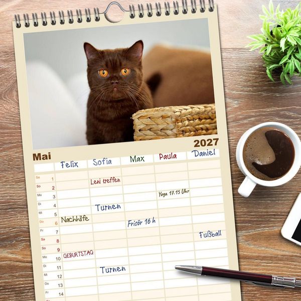 Produktbild: Familienplaner 2027 - Die Britisch Kurzhaar Katze mit 5 Spalten (Wandkalender, 21 x 45 cm) CALVENDO