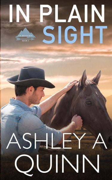 Produktbild: In Plain Sight
