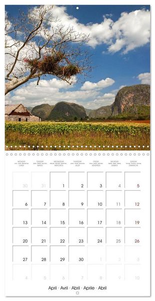 Produktbild: Carribean - Cuba (Wall Calendar 2026 12 &times; 12 Inch) CALVENDO 12 Month Wall Calendar