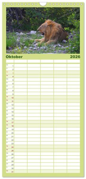 Produktbild: Familienplaner 2026 - Botswana- Pirschfahrt mit Garantie auf Wildlife mit 5 Spalten (Wandkalender, 21 x 45 cm) CALVENDO