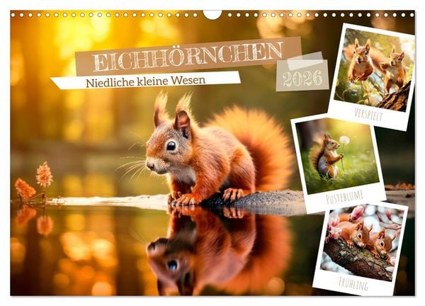 EICHHÖRNCHEN Niedliche kleine Wesen (Wandkalender 2026 DIN A3 quer), CALVENDO Monatskalender