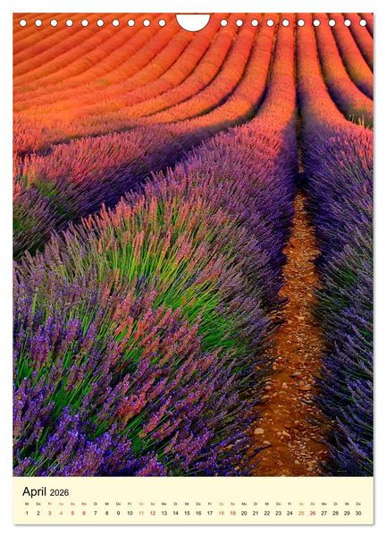 Produktbild: Provence Lavendel Paradies (Wandkalender 2026 DIN A4 hoch), CALVENDO Monatskalender