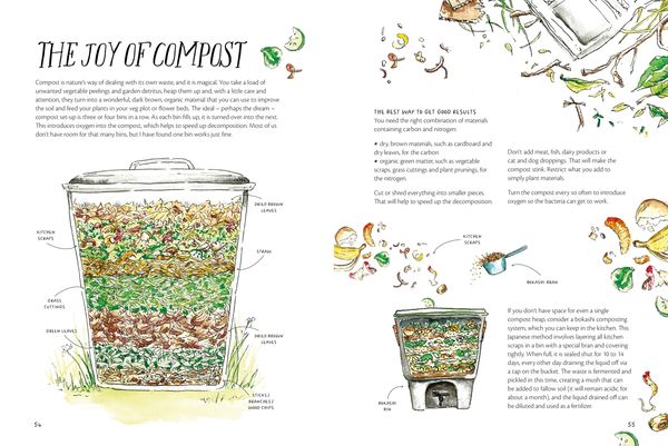 Produktbild: The Magic of Seeds