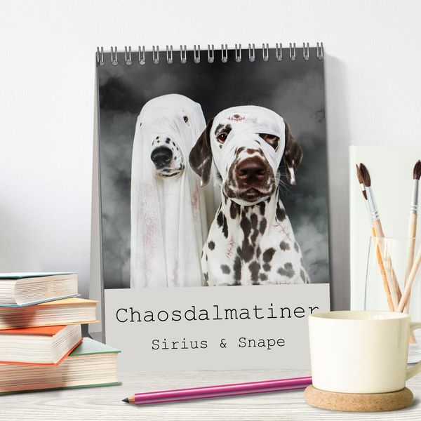 Produktbild: Chaosdalmatiner Sirius und Snape (Tischkalender 2026 DIN A5 hoch), CALVENDO Monatskalender