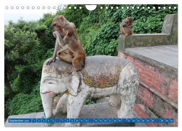 Produktbild: Kalender 2026 der Nepal Kinderhilfe e.V. (Wandkalender 2026 DIN A4 quer), CALVENDO Monatskalender