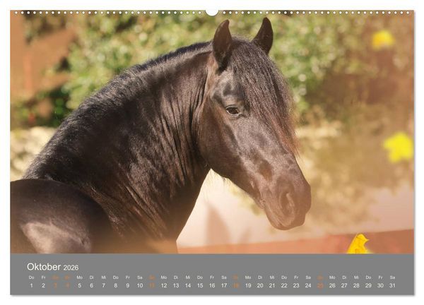 Produktbild: FANTASY Pferde Horses Caballos (hochwertiger Premium Wandkalender 2026 DIN A2 quer), Kunstdruck in Hochglanz