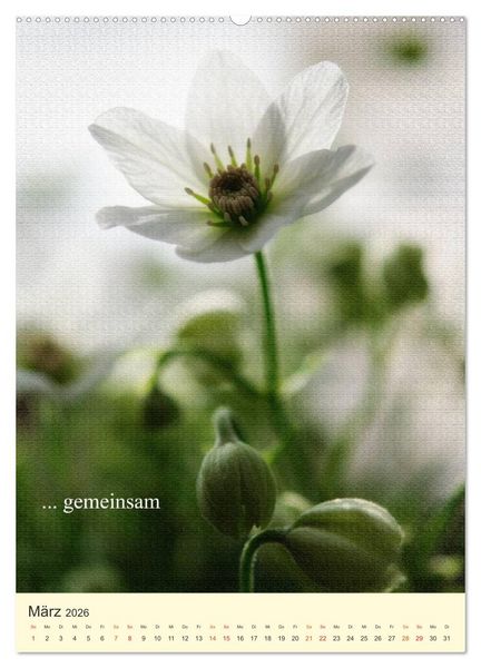 Produktbild: flowers (hochwertiger Premium Wandkalender 2026 DIN A2 hoch), Kunstdruck in Hochglanz