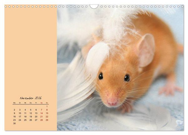 Produktbild: Mausige Zeiten! Putzige Gesellen mit Knopfaugen (Wandkalender 2026 DIN A3 quer), CALVENDO Monatskalender