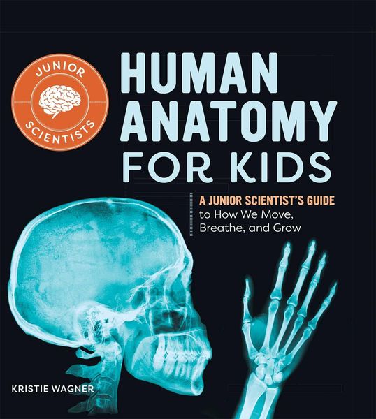Produktbild: Human Anatomy for Kids