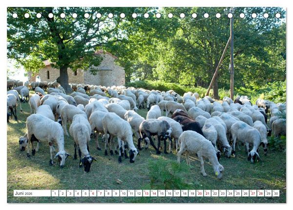 Produktbild: Chalkidiki - Urlaubsparadies in Nordgriechenland (Tischkalender 2026 DIN A5 quer), CALVENDO Monatskalender