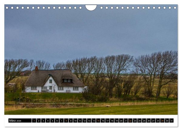 Produktbild: Tr&auml;umende Bilder - Die Nordseehalbinsel Eiderstedt (Wandkalender 2026 DIN A4 quer), CALVENDO Monatskalender