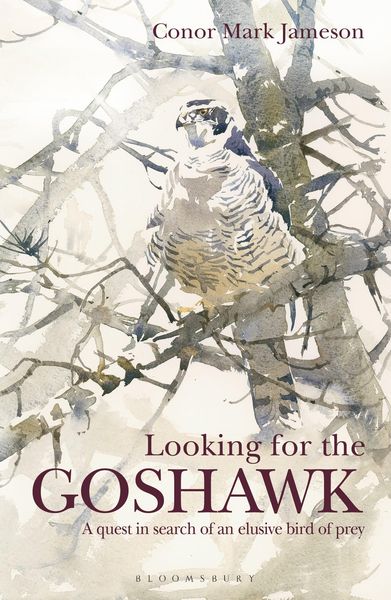 Produktbild: Looking for the Goshawk