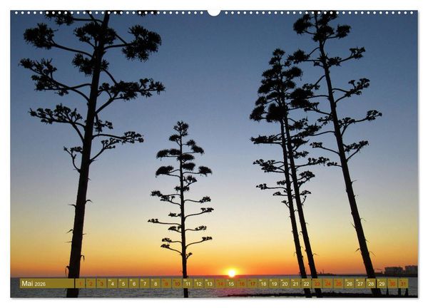 Produktbild: In den Subtropen (Wandkalender 2026 DIN A2 quer), CALVENDO Monatskalender