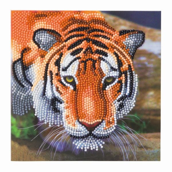 Produktbild: Crystal Art Tiger 18x18cm