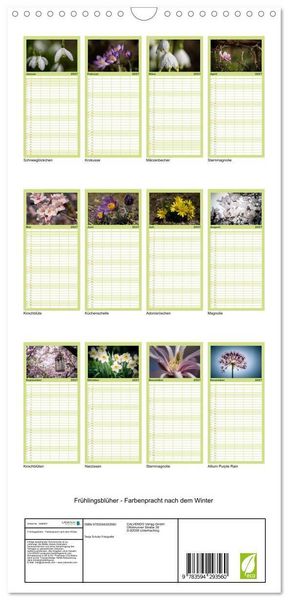 Produktbild: Familienplaner 2027 - Fr&uuml;hlingsbl&uuml;her - Farbenpracht nach dem Winter mit 5 Spalten (Wandkalender, 21 x 45 cm) CALVENDO
