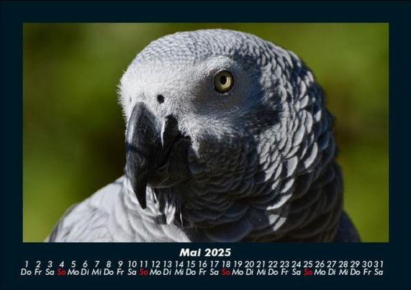 Produktbild: Welt der V&ouml;gel 2025 Fotokalender DIN A5
