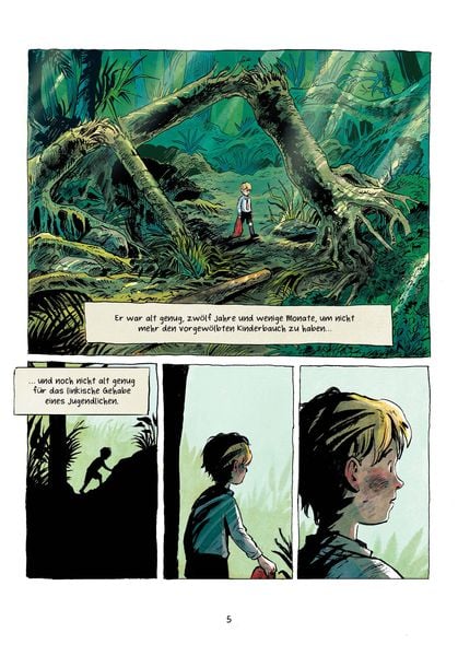 Produktbild: Herr der Fliegen (Graphic Novel). Limitierte Vorzugsausgabe