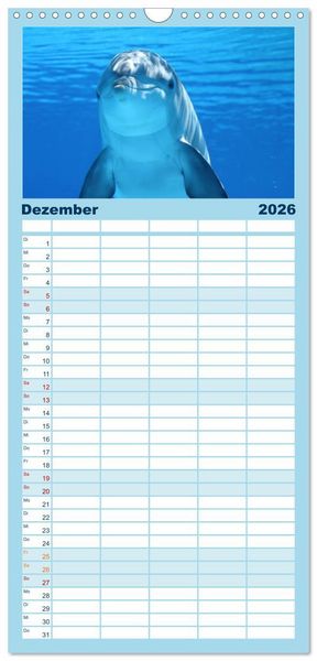 Produktbild: Familienplaner 2026 - Delfine und Wale mit 5 Spalten (Wandkalender, 21 x 45 cm) CALVENDO