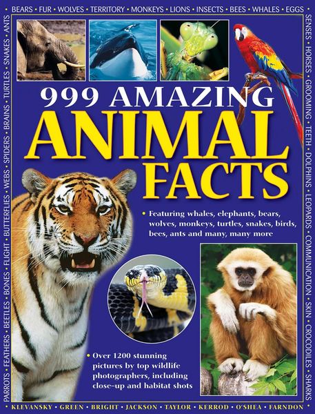 Produktbild: 999 Amazing Animal Facts