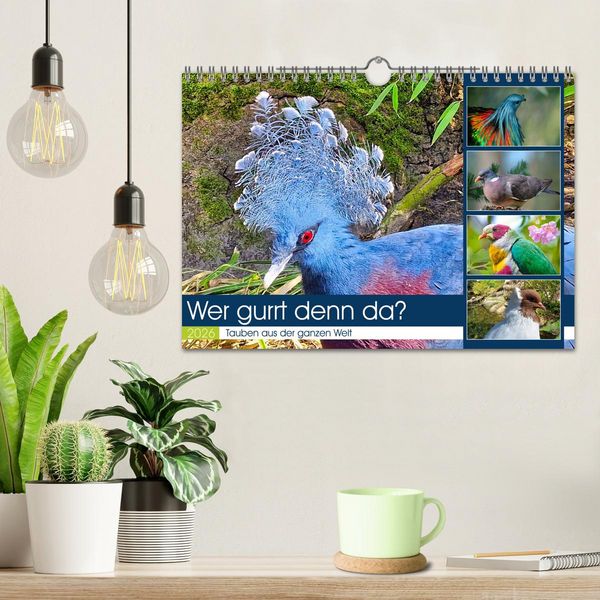Produktbild: Wer gurrt denn da? (Wandkalender 2026 DIN A4 quer), CALVENDO Monatskalender