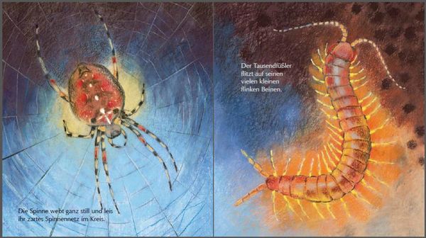 Produktbild: Mein kleines Insektenbuch