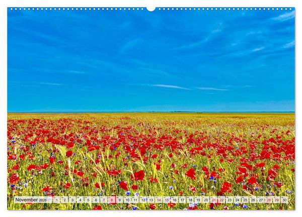 Produktbild: Fischland: zwischen Ostsee und Bodden (Wandkalender 2026 DIN A2 quer), CALVENDO Monatskalender