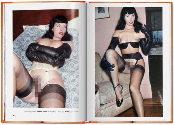 Produktbild: The Little Big Book of Pussy