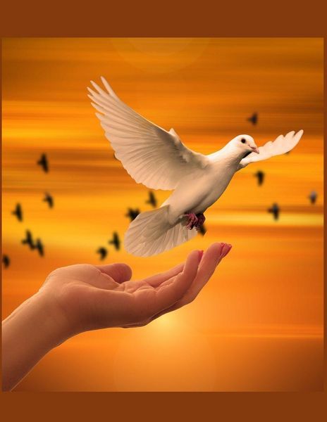 Produktbild: The Dove Christian Inspirational Notebook