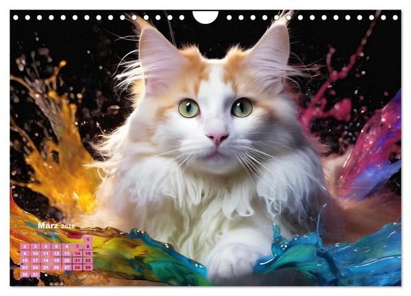 Produktbild: Splash - Katzen im Farbrausch (Wandkalender 2026 DIN A4 quer), CALVENDO Monatskalender